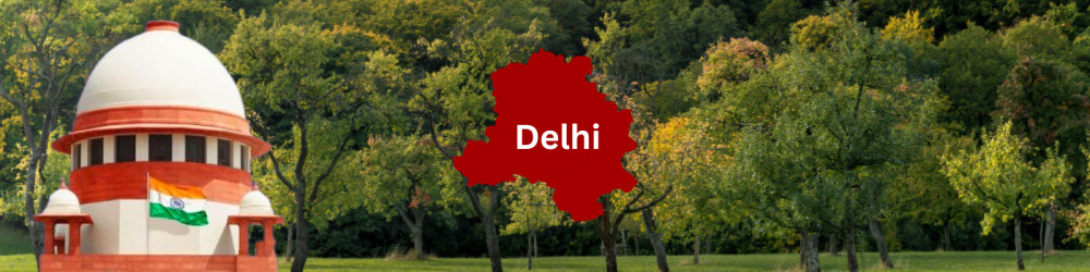Blog Post Image
